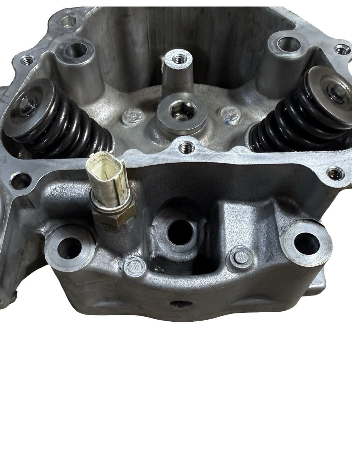 2007-2013 Honda Rancher 420 OEM Complete Top End Cylinder Assembly 12200-HP7-A017